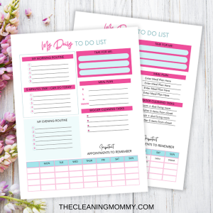 5 Minute Cleaning Plan